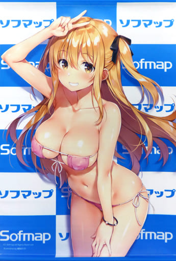 駿河屋 中古 憂姫はぐれイラスト B2ダブルスエードタペストリー ソフマップガールズコレクション C95グッズ タペストリー 駿河屋 中古 憂姫はぐれイラスト B2ダブルスエードタペストリー ソフマップガールズコレクション C95グッズ タペストリー