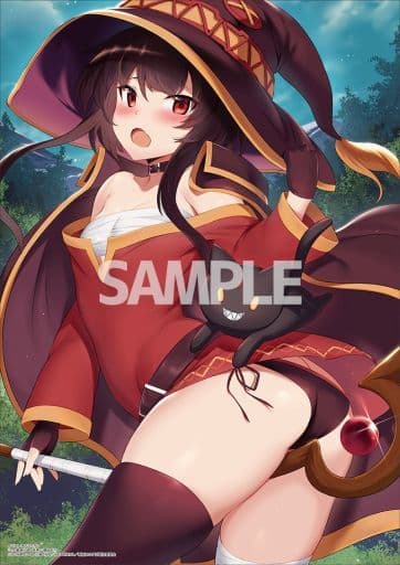 タペストリー めぐみん&ちょむすけ B2タペストリー(MだSたろう タペストリー めぐみん&ちょむすけ B2タペストリー(MだSたろう