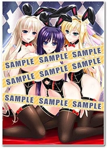 駿河屋 -【アダルト】<新品/中古>1st.バニー type.A B2タペストリー