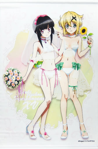 駿河屋 -<中古>暁切歌&月読調 B2タペストリー 「戦姫絶唱シンフォギア