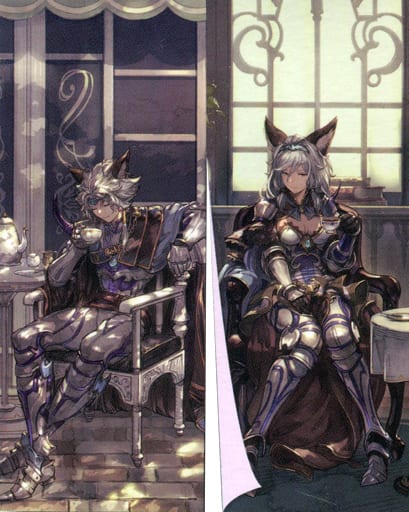 駿河屋 中古 ヘルエス セルエル のれん Granblue Fantasy グランブルーファンタジー タペストリー 駿河屋 中古 ヘルエス セルエル のれん Granblue Fantasy グランブルーファンタジー タペストリー