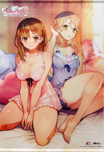 駿河屋 -<中古>ライザ&クラウディア 描き下ろしB2タペストリー 「PS4 駿河屋 -<中古>ライザ&クラウディア 描き下ろしB2タペストリー 「PS4