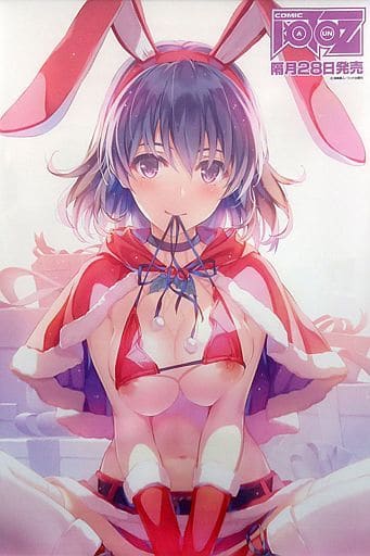 駿河屋 -【アダルト】<中古>深崎暮人イラスト(サンタ) 特大