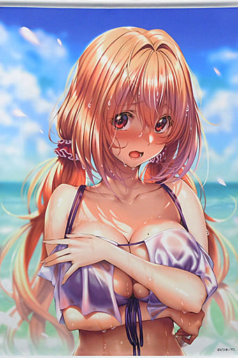 駿河屋 -<中古>柊紗乃 B1タペストリー 水着ver. 「はにかみ彼女 ピロ水 駿河屋 -<中古>柊紗乃 B1タペストリー 水着ver. 「はにかみ彼女 ピロ水