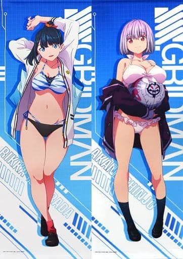 駿河屋 -<中古>全2種セット ロングタペストリー 「どこプラ×くじメイト