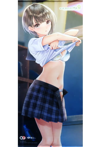 駿河屋 -<中古>白井日菜子 描き下ろし特大タペストリー 「PS4/Switch 駿河屋 -<中古>白井日菜子 描き下ろし特大タペストリー 「PS4/Switch
