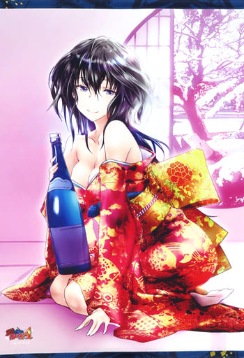 お買得限定品☆夏売れ筋 みなとそふと 真剣で私に恋しなさい!A 武蔵坊