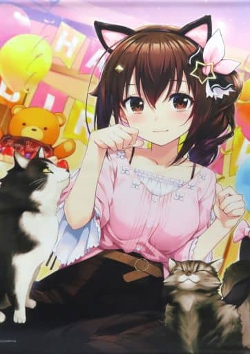 駿河屋 -<中古>ときのそら B2タペストリー 「ホロライブ ときのそら 駿河屋 -<中古>ときのそら B2タペストリー 「ホロライブ ときのそら