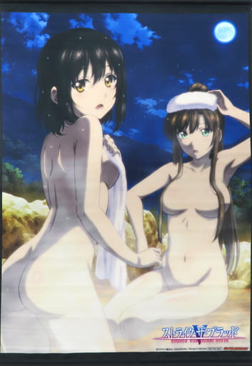 駿河屋 -<中古>姫柊雪菜&煌坂紗矢華 アニメイラスト描き下ろしB2