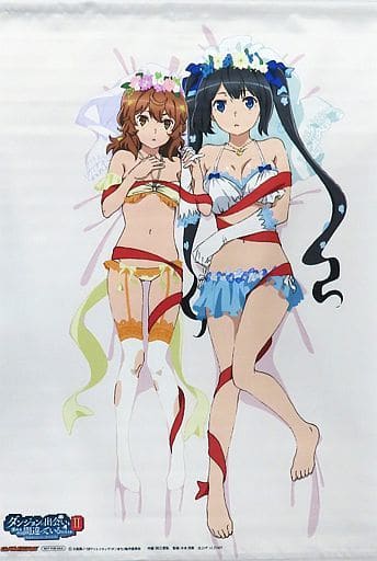 駿河屋 -<中古>ヘスティア&リリルカ・アーデ アニメイラスト描き
