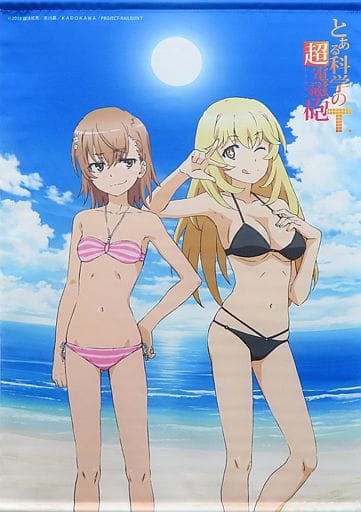 送料無料 タペストリー 御坂美琴&食蜂操祈 アニメ描き下ろしB2