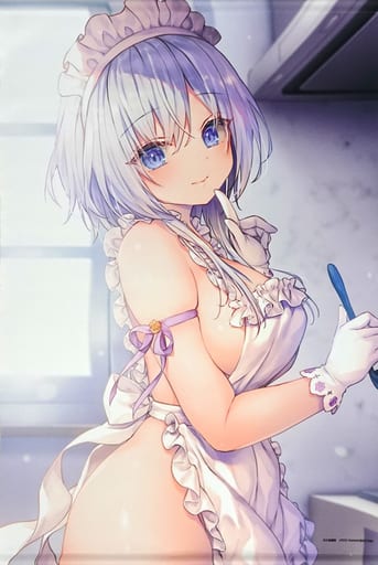 駿河屋 -<中古>姫路白雪 B2タペストリー(MFたぺJ084) 「ライアー