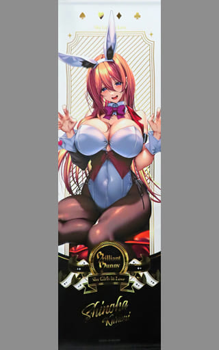 駿河屋 -<中古>来海志乃羽 bunny ロングタペストリー 「はにかみ、彼女
