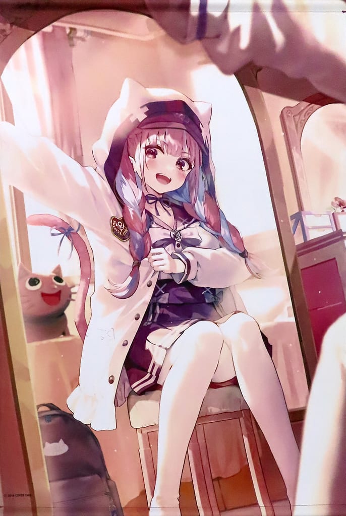 駿河屋 - 【買取】湊あくあ B2タペストリー 「バーチャルYouTuber 駿河屋 - 【買取】湊あくあ B2タペストリー 「バーチャルYouTuber