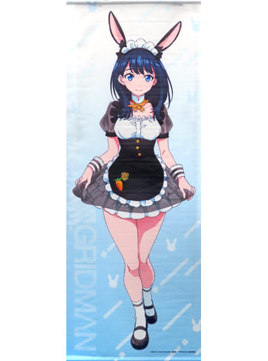 駿河屋 -<中古>宝多六花 等身大タペストリー 「くじコレ SSSS.GRIDMAN