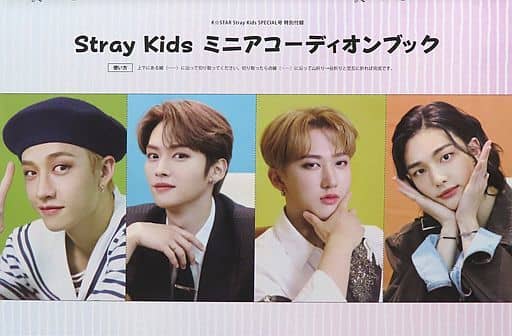 駿河屋 -<中古>Stray Kids ミニアコーディオンブック K☆STAR Stray ...