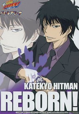 雲雀恭弥 (10年後 リング開匣) 家庭教師ヒットマンREBORN! プロマイド アニメイトゲーム購入特典 雲雀恭弥 (10年後 リング開匣) 家庭教師ヒットマンREBORN! プロマイド アニメイトゲーム購入特典