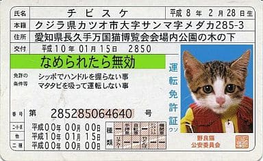 駿河屋 買取 チビスケ 免許証カード なめ猫コレクションカード キャラクターカード
