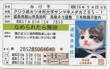 駿河屋 中古 みけ子 免許証カード なめ猫 カードガチャ なめんなよいろいろ証明書 第3弾 キャラクターカード