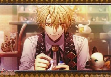 駿河屋 -<中古>トーマ ブロマイド 「AMNESIA-アムネシア-」 オトメイト 駿河屋 -<中古>トーマ ブロマイド 「AMNESIA-アムネシア-」 オトメイト