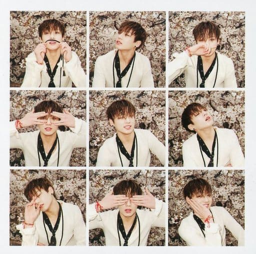 駿河屋 -<中古>ジョングク(BTS/防弾少年団) フォトカード 「CD 花様