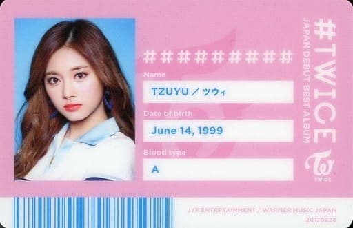 TWICE IDカードセット48枚（54枚）