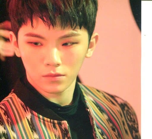 駿河屋 -<中古>ウジ(SEVENTEEN) ビハインド・ザ・シーン・カード 「CD