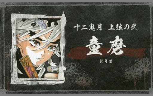 駿河屋 -<中古>童磨 「鬼滅の刃 名刺カードコレクション 第2弾