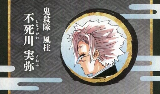 駿河屋 -<中古>不死川実弥(鬼滅の刃) 「週刊少年ジャンプ 名刺カード