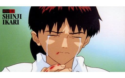 駿河屋 -<中古>第25話-18.碇シンジ 「新世紀エヴァンゲリオン劇場版 駿河屋 -<中古>第25話-18.碇シンジ 「新世紀エヴァンゲリオン劇場版