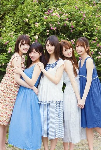 駿河屋 -<中古>日向坂46 ポストカード 「ファースト写真集 『立ち漕ぎ