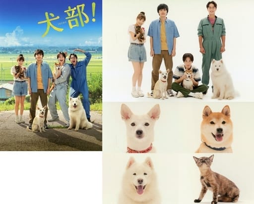 駿河屋 -<中古>ポストカード3枚セット 「映画 犬部