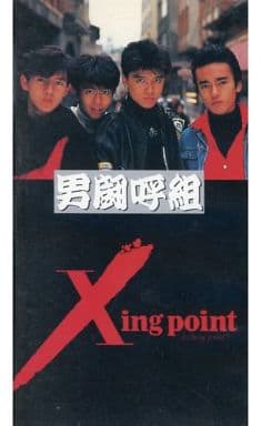 男闘呼組 Xing point VHS ビデオ-