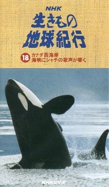 駿河屋 -<中古>NHK 生きもの地球紀行 (18) カナダ西海岸(その他)