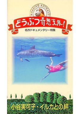 小谷実可子 ビデオセット - www.top4all.pl