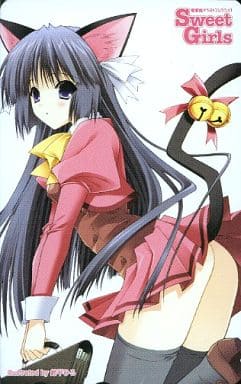 駿河屋 -【アダルト】<中古>計1名「電撃姫イラストコレクション