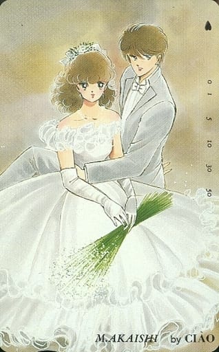 駿河屋 -<中古>水守美緒/成宮颯「天よりも星よりも/赤石路代(AKAISHI
