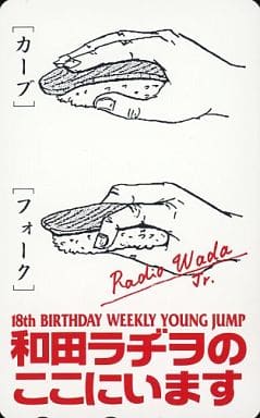 駿河屋 -<中古>「和田ラヂヲのここにいます/和田ラヂヲ」 18th