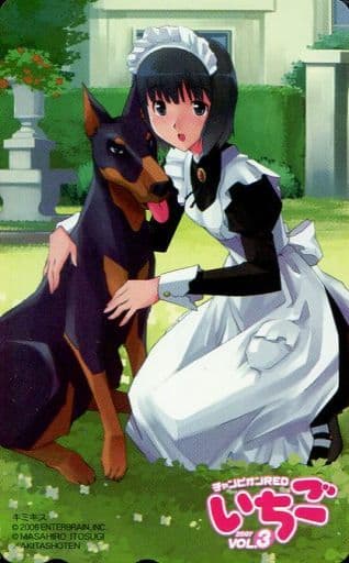 駿河屋 中古 単品 祇条深月 キミキス ースウィートリップスー 糸杉柾宏 チャンピオンredいちごvol 3誌上通販 テレホンカード