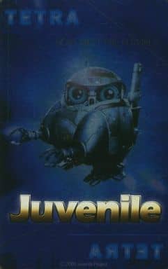 駿河屋 中古 テトラ ジュブナイル Juvenile テレホンカード 駿河屋 中古 テトラ ジュブナイル Juvenile テレホンカード