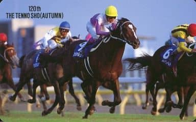 駿河屋 -<中古>【単品】 スペシャルウィーク/武豊/他「第120回天皇賞 駿河屋 -<中古>【単品】 スペシャルウィーク/武豊/他「第120回天皇賞