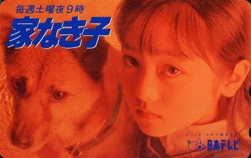 駿河屋 買取 単品 安達祐実 ピュンピュン 家なき子 日本テレビ高視聴率継続御礼 テレホンカード