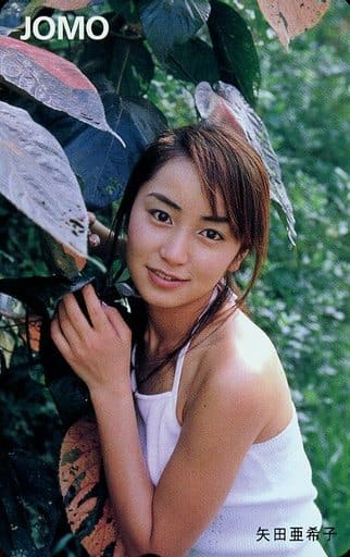 テレホンカード アイドル テレカ 矢田亜希子 akko Y0004-0078-