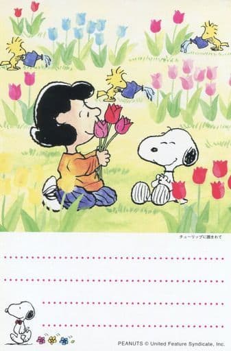 駿河屋 中古 単品 スヌーピー ルーシー ヴァン ペルト ウッドストック はがき50円 Snoopy In お花畑 Peanuts 郵便局 金券 駿河屋 中古 単品 スヌーピー ルーシー ヴァン ペルト ウッドストック はがき50円 Snoopy In お花畑 Peanuts 郵便局 金券
