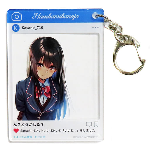 駿河屋 -<中古>【オリジナル】アクリルフォトコレクション 水澄華実