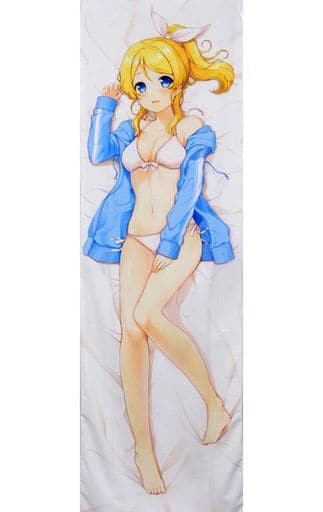駿河屋 -【アダルト】<中古>【ラブライブ!】水着パーカーえりちの抱き