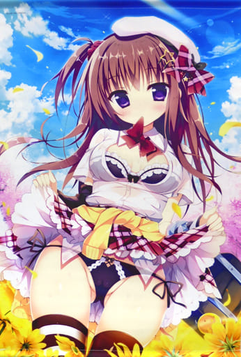 駿河屋 -<中古>【オリジナル】B2タペストリー Under wears(白もち桜 駿河屋 -<中古>【オリジナル】B2タペストリー Under wears(白もち桜