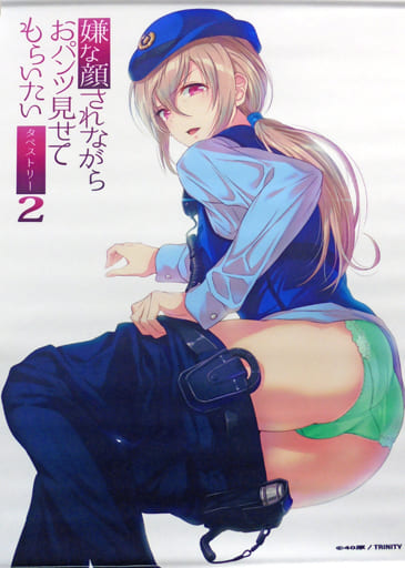 駿河屋 -<中古>【オリジナル】B2嫌な顔されながらおパンツ見せてもらい