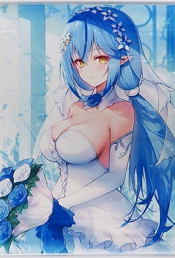 駿河屋 -<中古>【バーチャルYouTuber】タペストリー 雪花ラミィ(HAONI