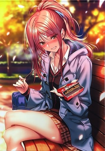 オプティミスティック ピロ水 はにかみ彼女 B2Wスエードタペストリー 3